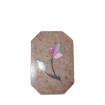 image00002-removebg-preview-2