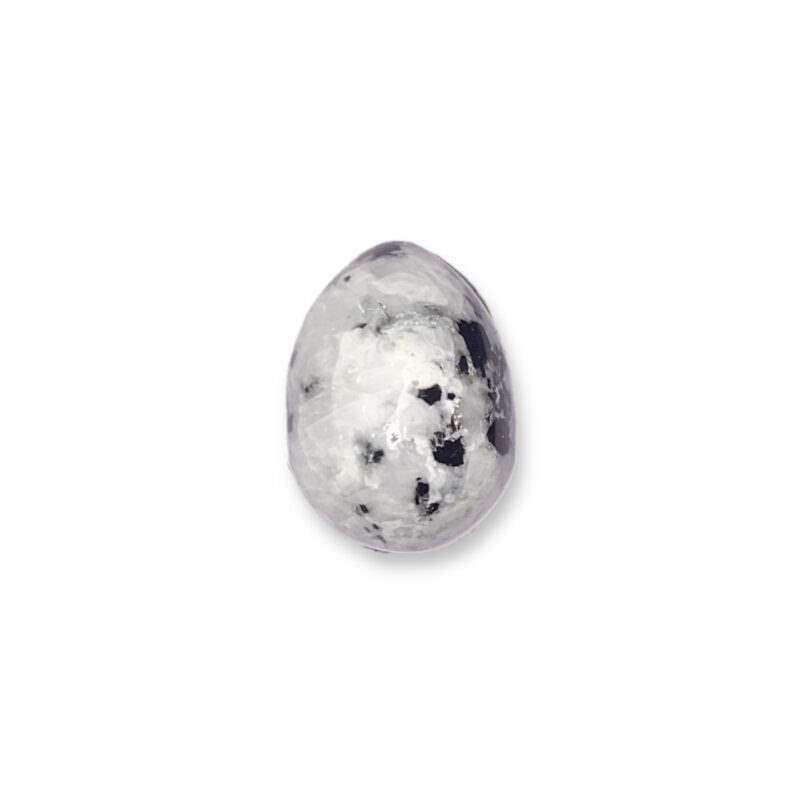 image00012