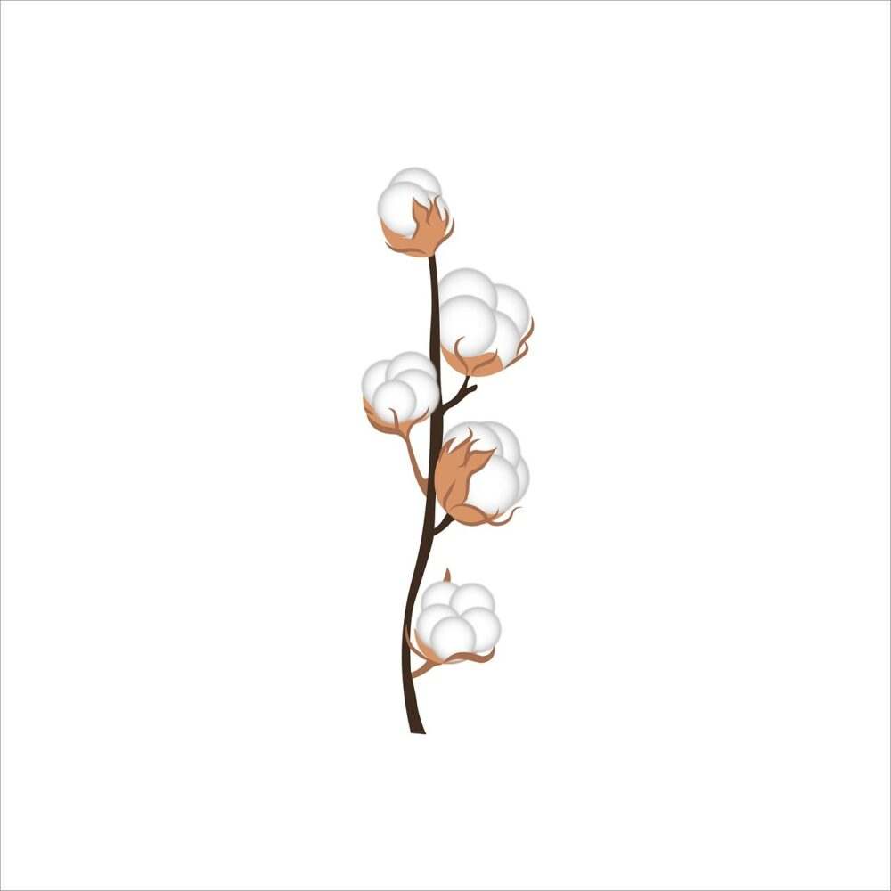 Cotton
